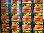 Cyber-délinquance : plus de spam, plus de failles